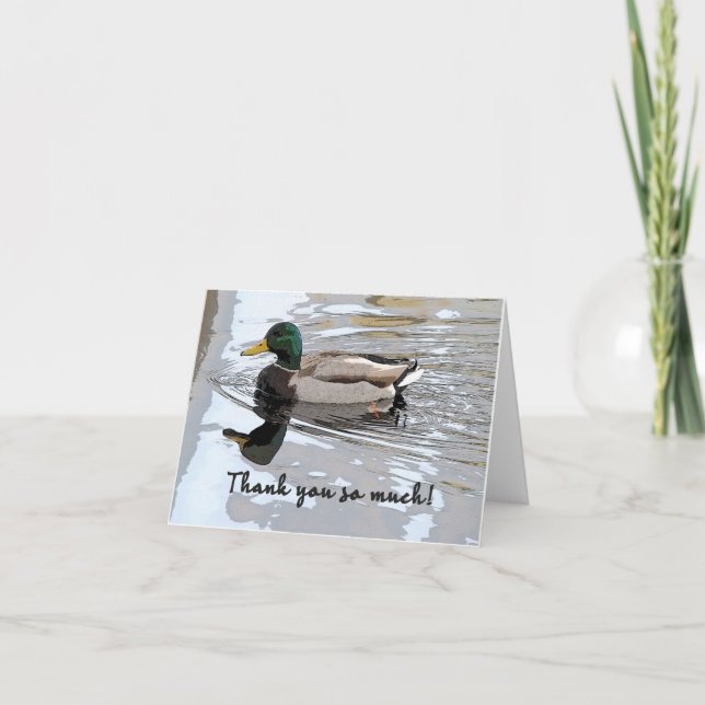 Carte De Remerciements Poster de Mallard Drake (Devant)