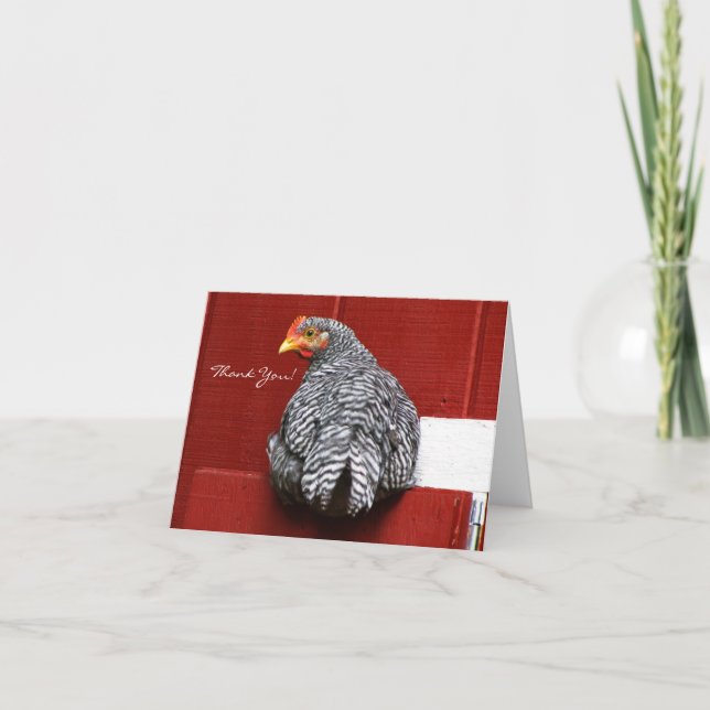 Carte De Remerciements Poulet tourner autour (Devant)