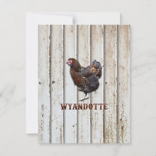 Carte De Remerciements Poulet Wyandotte