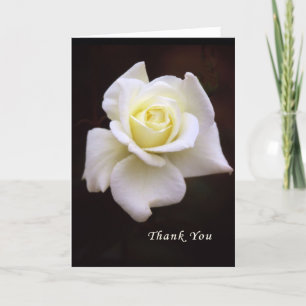 Carte de remerciements pour Sympathie & Fleurs