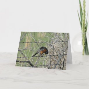 Carte De Remerciements Prière du printemps, Robin