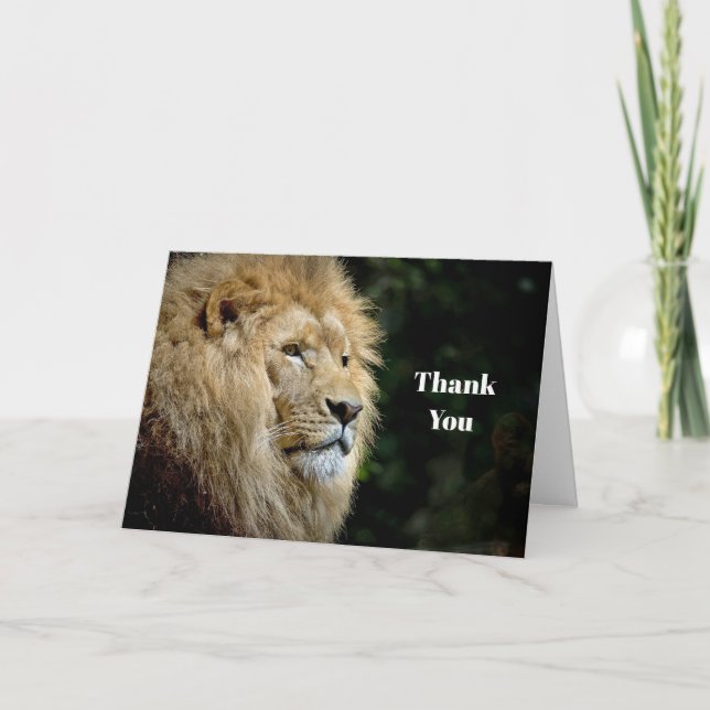 Carte De Remerciements Profil du lion photo de la faune (Devant)