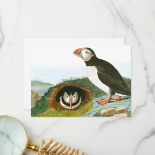 Carte De Remerciements Puffin de John James Audubon