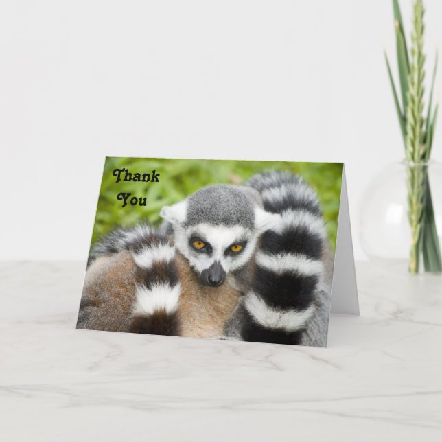 Carte de remerciements - queue mignonne de Stripey (Devant)