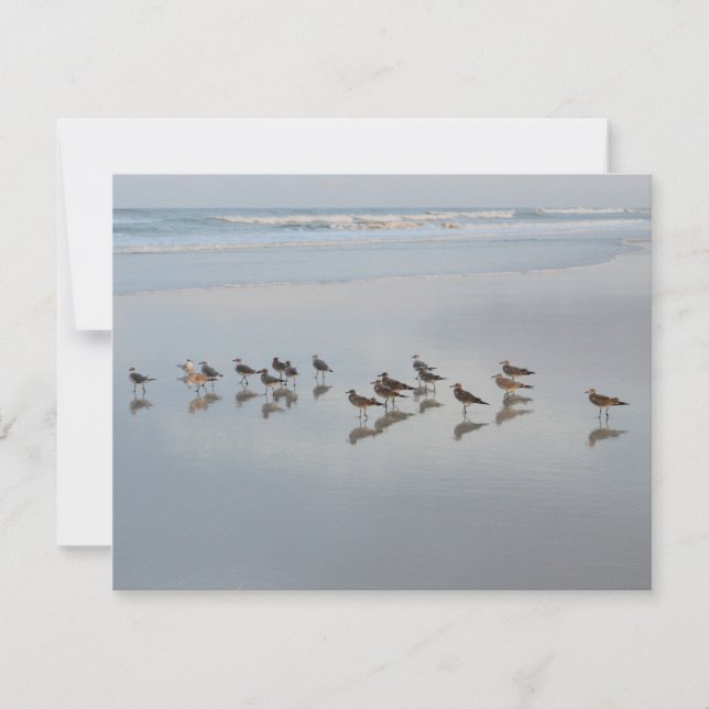 Carte De Remerciements Raviers blancs sur la plage Nature (Devant)