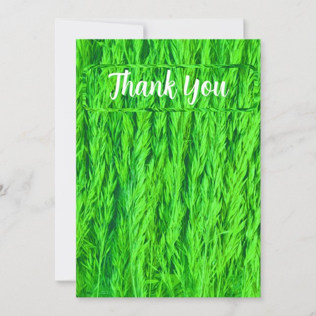 Carte De Remerciements Récolte de graines d'herbe verte (Devant)