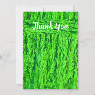Carte De Remerciements Récolte de graines d'herbe verte
