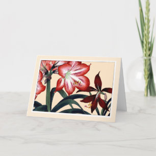 Carte De Remerciements Red Amarylli, Botanical Card - Salutation Personna