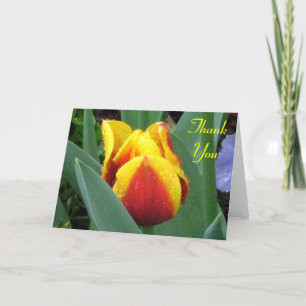 Carte De Remerciements red and yellow tulip thank