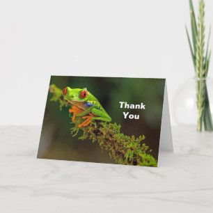 Carte De Remerciements Red Eyed Tree Frog Photo