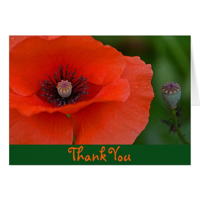 Carte de remerciements Red Poppy (Devant horizontal)