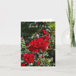Carte De Remerciements Red Rose Photography Folded Thank You Card 