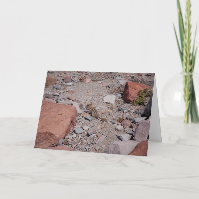 Carte De Remerciements Rocky (Devant)