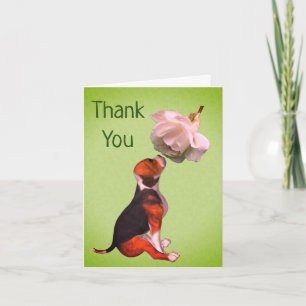 Carte de remerciements rose blanche beagle