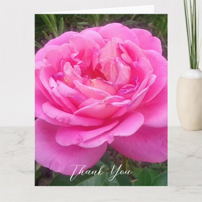Carte De Remerciements Rose rose 'Léonard de Vinci' romantique   (Devant)