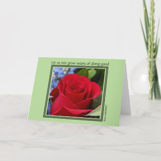 Carte de remerciements, Rose rouge, avec Galates 6