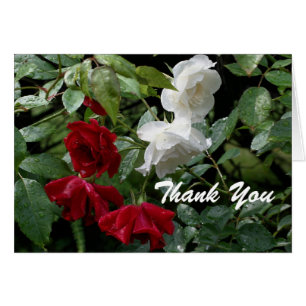 Carte de remerciements Rose trempé