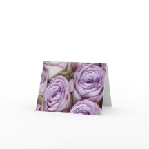 Roses français de la lavande