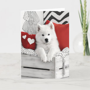 Carte De Remerciements Samoyed Chien Valentine Card