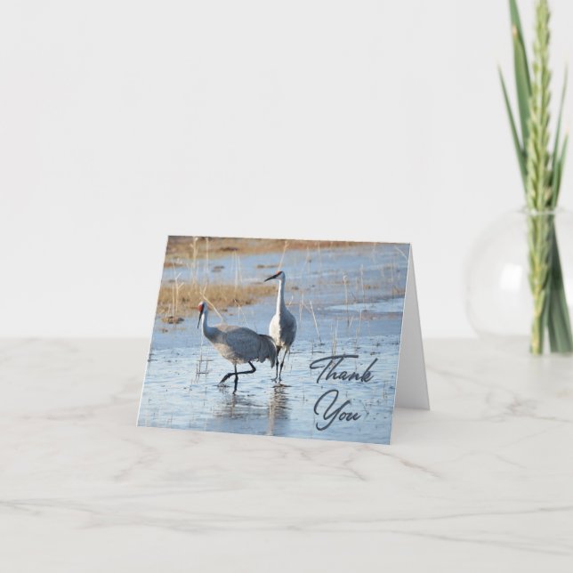 Carte De Remerciements Sandhill Cranes Photo (Devant)