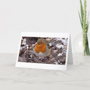 Carte De Remerciements Scènes d'hiver -Robin -Carte de voeux