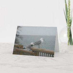 carte de remerciements "Seagulles à la recherche d