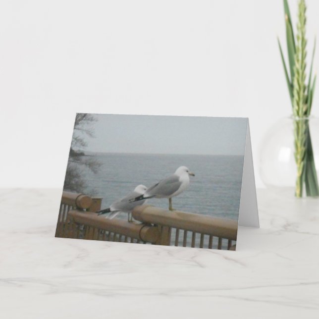 carte de remerciements "Seagulles à la recherche d (Devant)