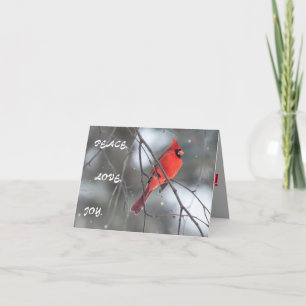 Carte De Remerciements Silence Wonders Cardinal Cardinal