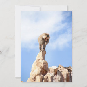 Carte De Remerciements Singe babouin au sommet d'une montagne