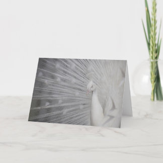 Carte De Remerciements SnowPeacock