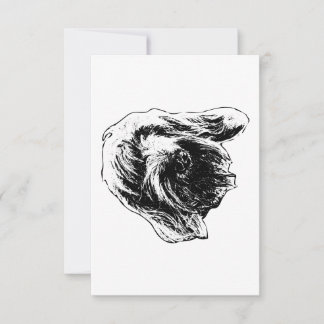 Carte De Remerciements Spinone Gentle Thanks