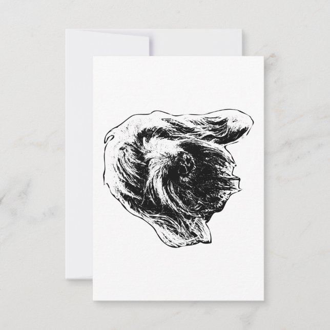 Carte De Remerciements Spinone Gentle Thanks (Devant)