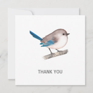 Carte De Remerciements Splendid Fairy Wren Bird on Branch