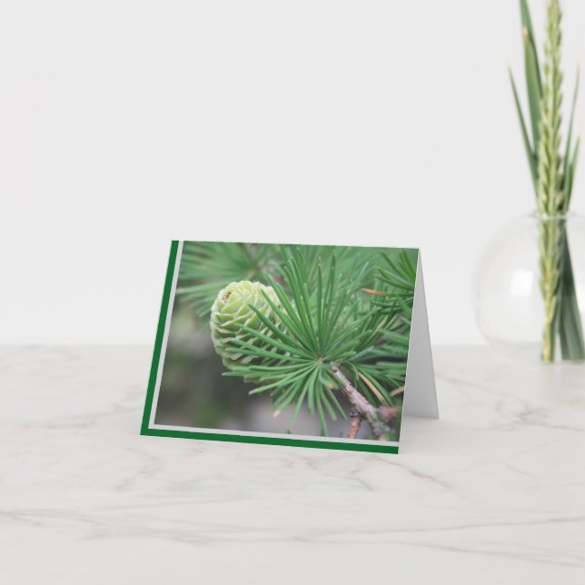 Carte De Remerciements Summer Pine Cone Note Card (Devant)