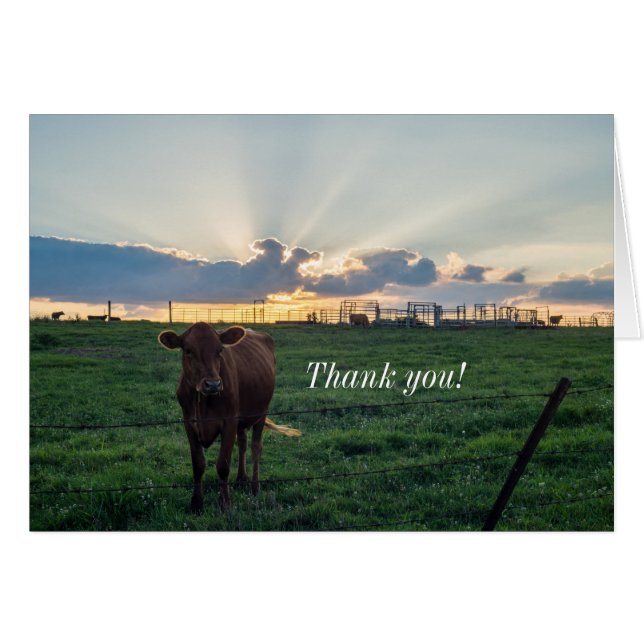 Carte de remerciements Sunset de la ferme de bovin (Devant Horizontal)