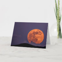 Super lune rose