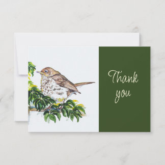Carte De Remerciements Swainson's Thrush Bird Nature WatercolorThank you