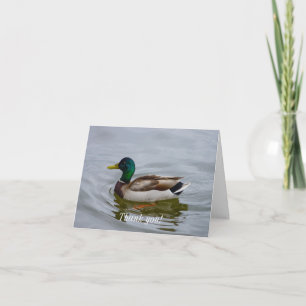 Carte De Remerciements Swim Mallard Swim