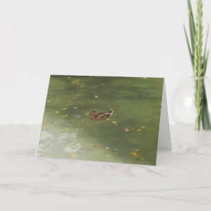 carte de remerciements "Swimming Duck"