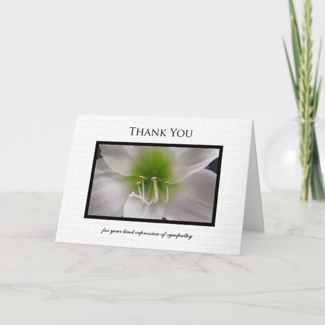 Carte De Remerciements Sympathy Thank You (Devant)