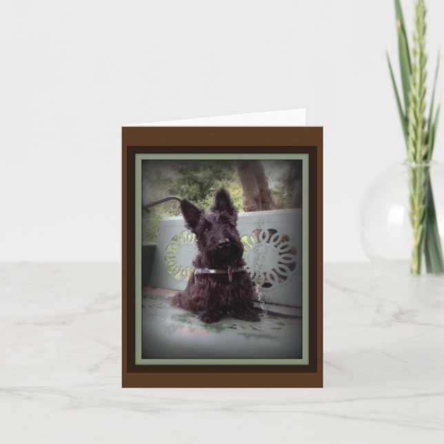 Carte De Remerciements Tête (Devant)