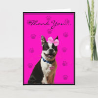 Thank You Boston Terrier Greeting