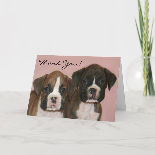 Carte De Remerciements Thank you boxer puppies greeting card (Devant)