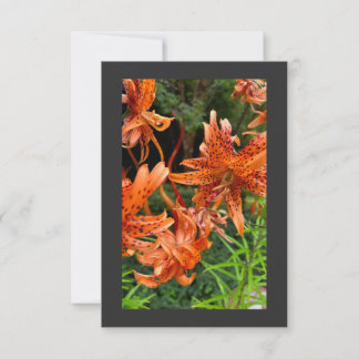Carte De Remerciements Tiger Lily