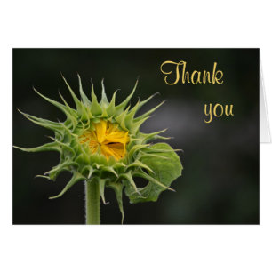 Carte de remerciements tournesol