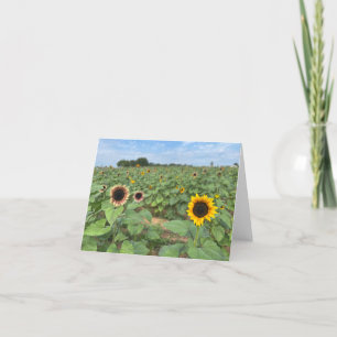 Carte De Remerciements Tournesol - photo nature