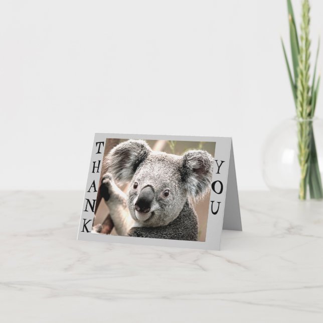 Carte De Remerciements Toutes les occasions, Koala Bear_ (Devant)
