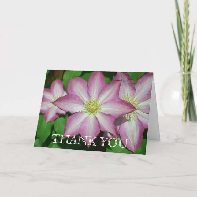 Carte De Remerciements Trio de Clematis Pink and White Spring Vine (Devant)