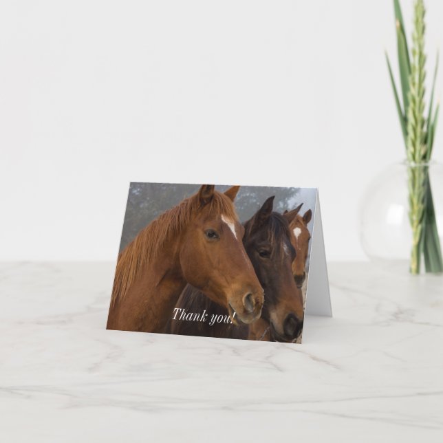 Carte de remerciements Triplets de cheval (Devant)