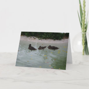 carte de remerciements "Trois Canards"